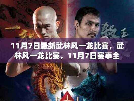 武林风一龙比赛全面解析与体验评测,11月7日最新赛事报道