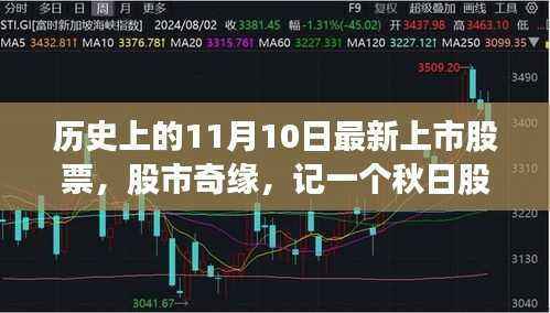 秋日股市梦启日,新股票上市与股市奇缘的纪念日(11月10日)