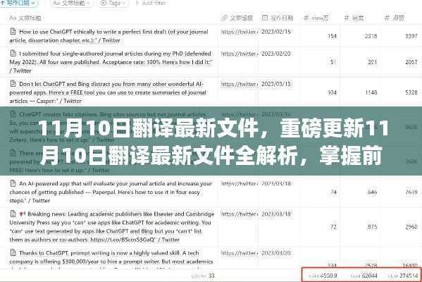 11月10日翻译最新文件全解析，掌握前沿资讯的必备攻略