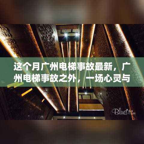 广州电梯事故之外,心灵与自然的奇妙之旅