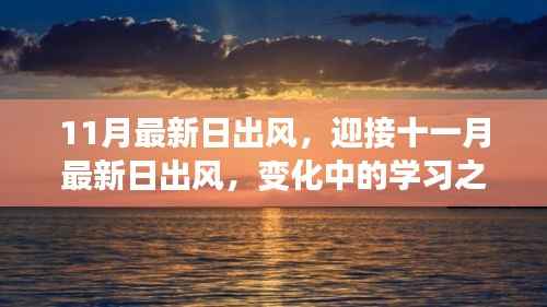 联系我们 第449页