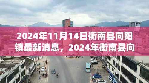 衡南县向阳镇最新发展动态(2024年11月)