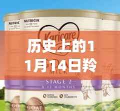 废寝忘食 第31页