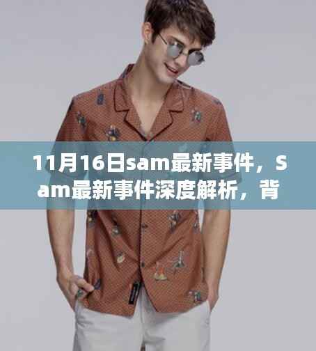 Sam最新事件，背景、进展与影响深度解析