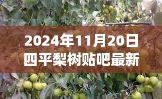 2024年11月20日四平梨树贴吧最新消息,2024年四平梨树贴吧最新消息,一场时代的风云际会