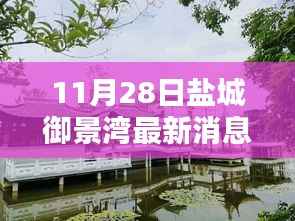 盐城御景湾最新动态解析，聚焦11月28日最新消息揭秘