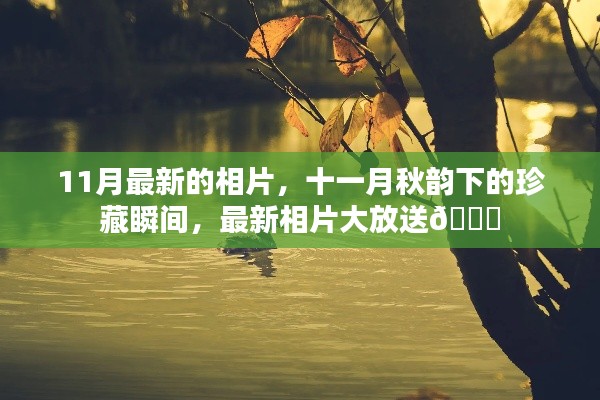 关于我们 第354页