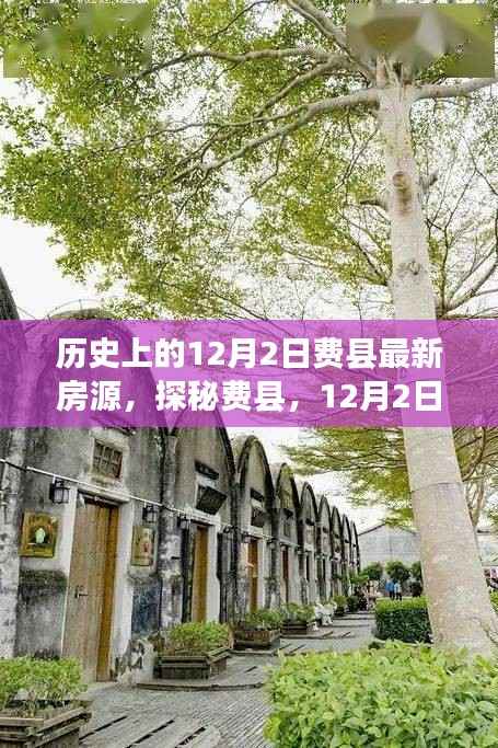 探秘费县，揭秘12月2日小巷深处的最新房源与特色小店