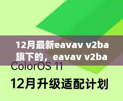 解读与反思，Eavav V2BA新动向揭秘