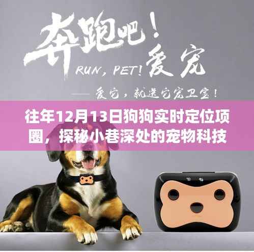 探秘宠物科技秘境，揭秘狗狗实时定位项圈的奇妙之旅（12月13日）