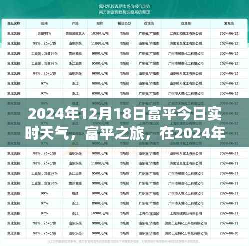 富平之旅，在冬日自然美景中寻找内心的宁静与平和