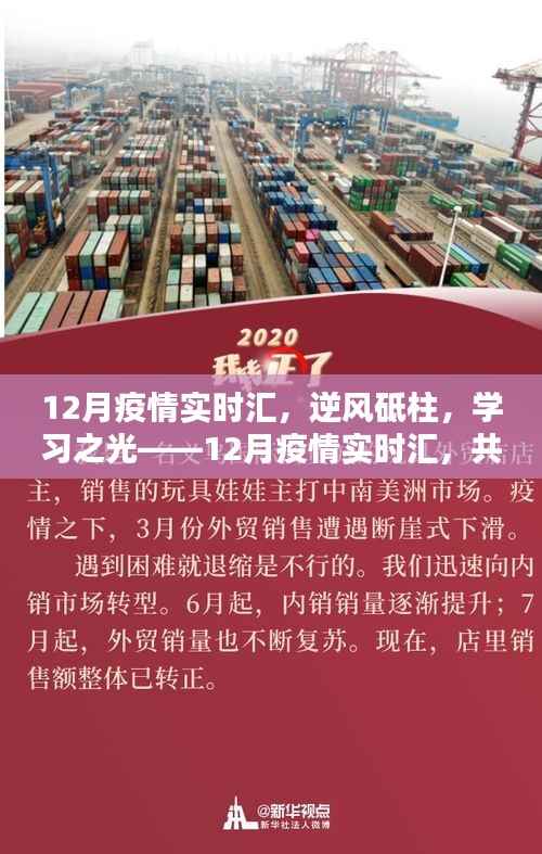逆风砥柱,学习之光,12月疫情实时汇报,共筑希望桥梁