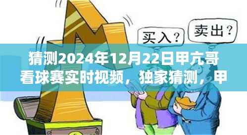 独家预测，甲亢哥2024年世界杯看球赛实况直播，激动人心的夜晚回顾