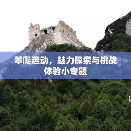 攀爬运动,魅力探索与挑战体验小专题