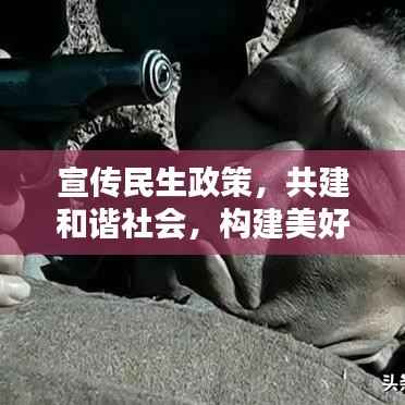 宣传民生政策，共建和谐社会，构建美好未来不可或缺的一环