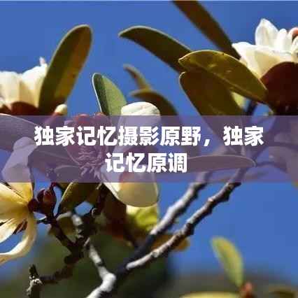 志在四方 第2页