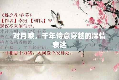 对月唳,千年诗意穿越的深情表达