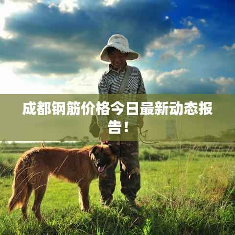 成都钢筋价格今日最新动态报告！