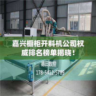 嘉兴橱柜开料机公司权威排名榜单揭晓!