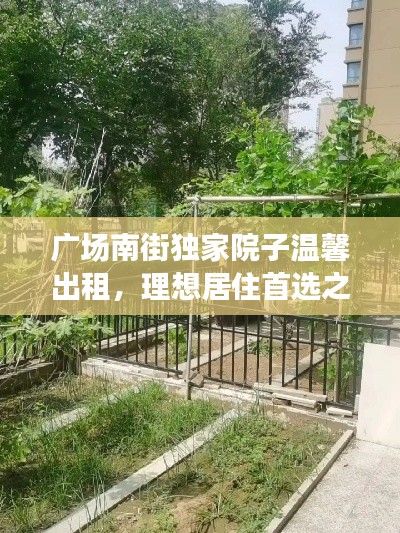 广场南街独家院子温馨出租,理想居住首选之地