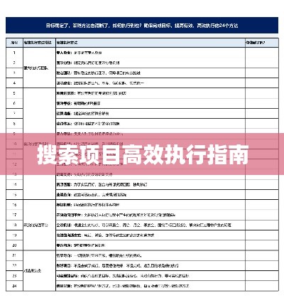 搜索项目高效执行指南