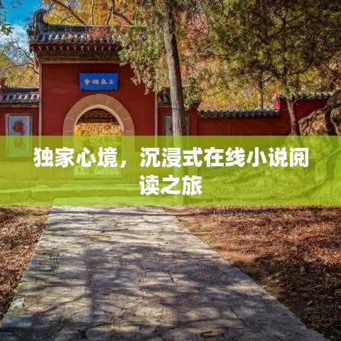 独家心境，沉浸式在线小说阅读之旅